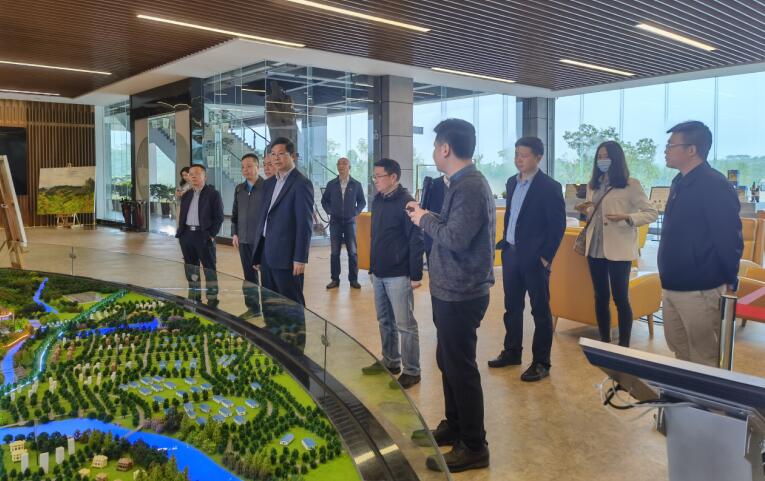 广西旅发集团党委书记、董事长容贤标考察集团文旅项目